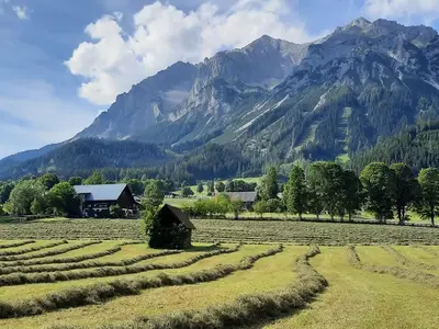 Hausfeld