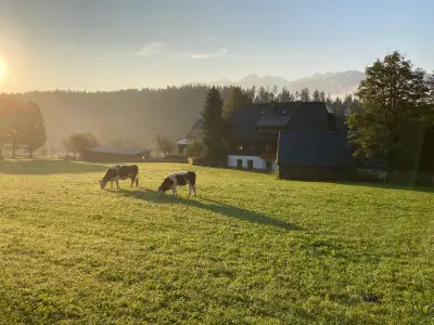 Morgen Erwachen