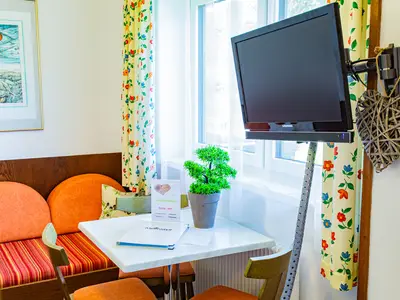 Ferienwohnung für 3 Personen (27 m²) in Ramsau am Dachstein 4/10