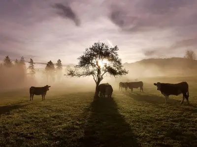 IMG_20221023_084742_013