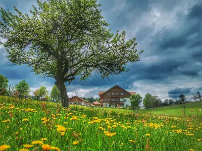 IMG_20190526_145154_465