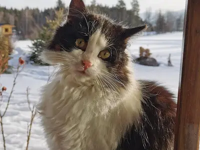 IMG_20200126_095931_468