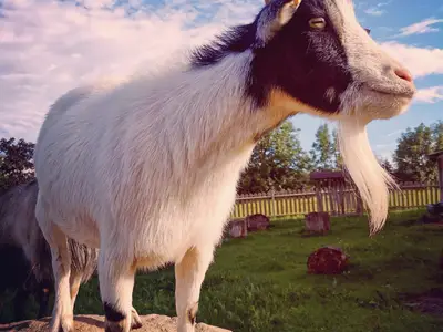 IMG_20220819_180842_401