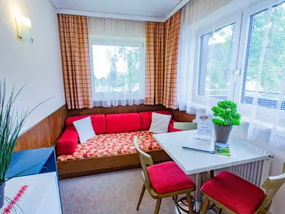 Ferienwohnung für 3 Personen (29 m²) in Ramsau am Dachstein 2/9