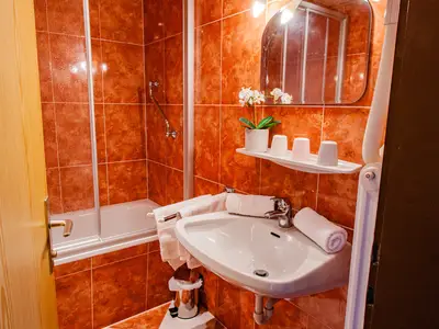 Ferienwohnung für 6 Personen (61 m²) in Ramsau am Dachstein 8/10