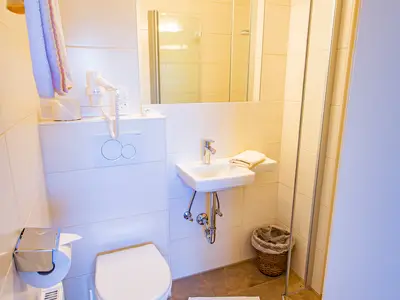 Ferienwohnung für 3 Personen (45 m²) in Ramsau am Dachstein 7/10