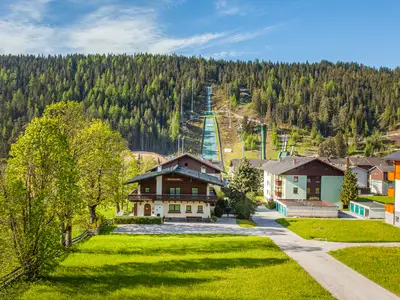 Ferienwohnung für 3 Personen (27 m²) in Ramsau am Dachstein 10/10