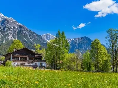 Ferienwohnung für 4 Personen (45 m²) in Ramsau am Dachstein 2/10