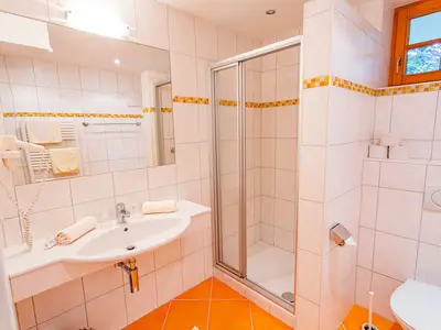 Ferienwohnung für 6 Personen (60 m²) in Ramsau am Dachstein 8/10