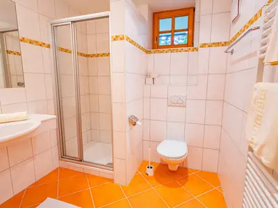 Ferienwohnung für 6 Personen (60 m²) in Ramsau am Dachstein 9/10