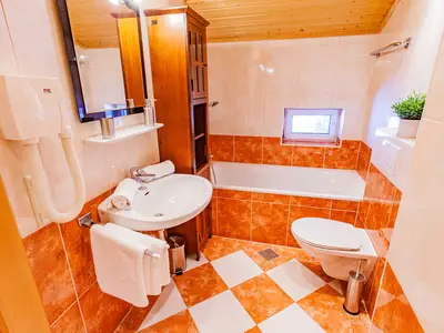 Ferienwohnung für 4 Personen (47 m²) in Ramsau am Dachstein 8/10