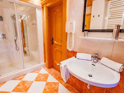 Ferienwohnung für 4 Personen (47 m²) in Ramsau am Dachstein 9/10