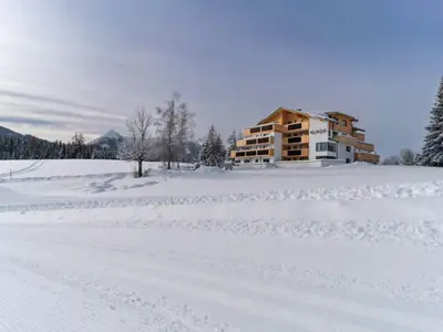 waldrand_-photography_2023-winter-6