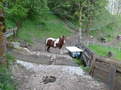 Ferienwohnung für 3 Personen (80 m²) in Rangersdorf 6/10