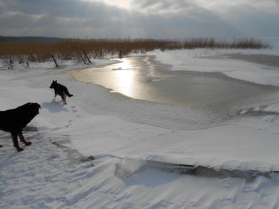 Peenestrom im Winter