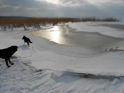 Peenestrom im Winter