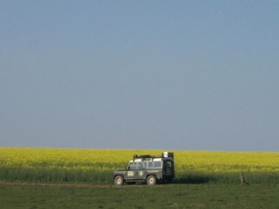 Safari in der  Umgebung