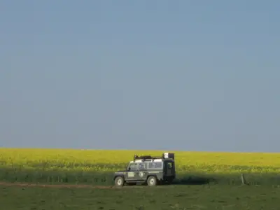Safari in der  Umgebung