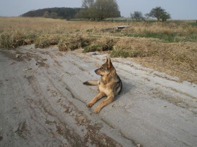 Arko am Peenestrom