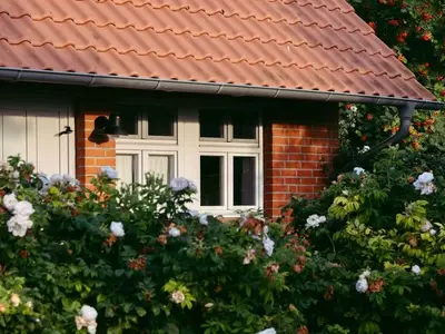 Ferienwohnung für 4 Personen (75 m²) in Quilitz 3/10