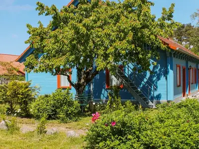 Ferienwohnung für 3 Personen (25 m²) in Rankwitz 2/10