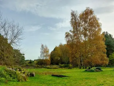 Ferienwohnung für 3 Personen (25 m²) in Rankwitz 9/10