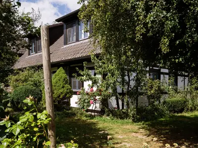 Ferienwohnung für 6 Personen (82 m²) in Rankwitz 9/10