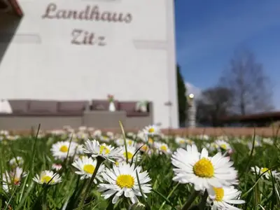 Ferienwohnung für 8 Personen (100 m²) in Ranten 1/10