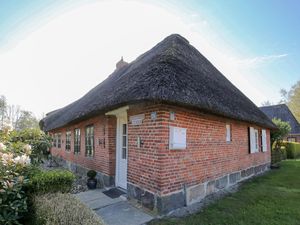 Ferienwohnung für 4 Personen (65 m²) in Rantrum