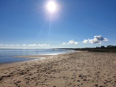 Ferienwohnung für 3 Personen (41 m²) in Rantum (Sylt) 8/10