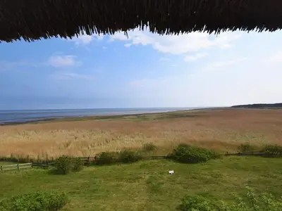 Ferienwohnung für 3 Personen (50 m²) in Rantum (Sylt) 6/10