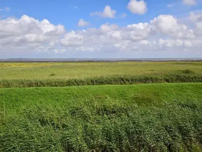 Ferienwohnung für 2 Personen in Rantum (Sylt) 4/9
