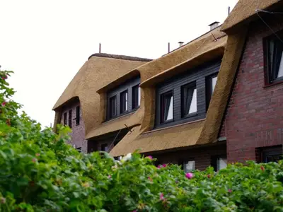 Ferienwohnung für 4 Personen (70 m²) in Rantum (Sylt) 10/10