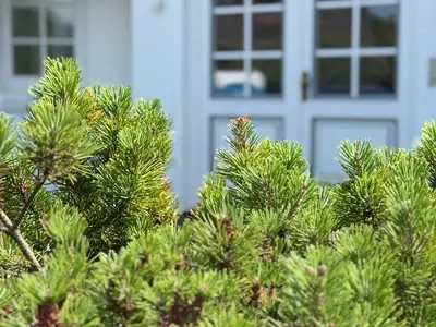 Ferienwohnung für 3 Personen (41 m²) in Rantum (Sylt) 5/10