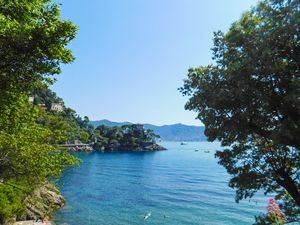 23721354-Ferienwohnung-6-Rapallo-300x225-5