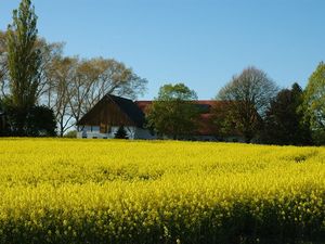 18706161-Ferienwohnung-5-Rappin-300x225-2