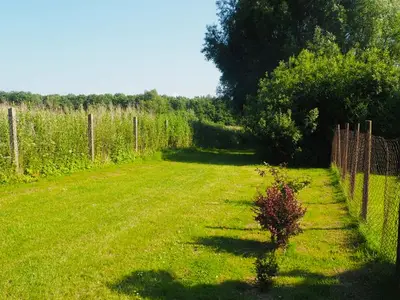 Ferienwohnung für 4 Personen (50 m²) in Rappin 5/10