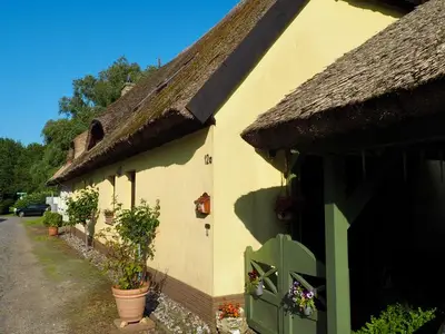 Ferienwohnung für 4 Personen (50 m²) in Rappin 6/10