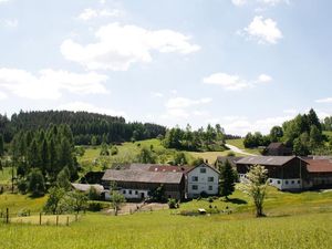 Ferienwohnung für 3 Personen (45 m²) in Rappottenstein