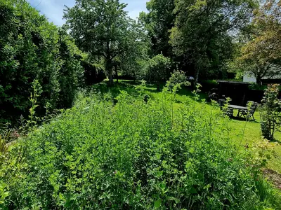 Land-Ferienhaus Martha, Rascheid, Garten