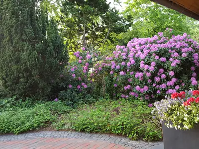 Ferienwohnung für 2 Personen (75 m²) in Rastdorf 8/10