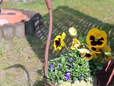 Ferienwohnung für 3 Personen (50 m²) in Pansdorf 7/10