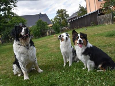 Ferienwohnung für 8 Personen (112 m²) in Rathmannsdorf 2/10