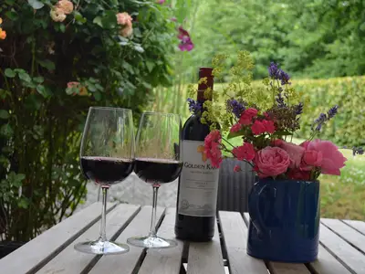 Fewo RZ Wein Blumen Terasse
