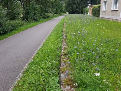 Ferienwohnung für 3 Personen (51 m²) in Rauda 2/10