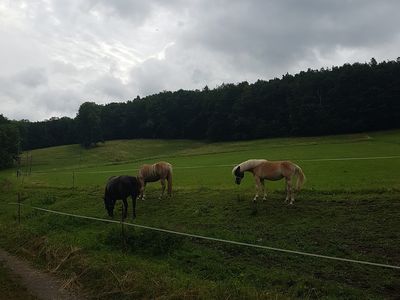 Ferienwohnung für 3 Personen (51 m²) in Rauda 7/10