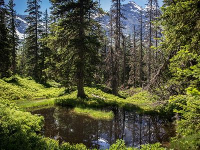 Raurisertal Rauriser Urwald(c)TVB Rauris Fotograf 