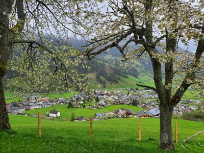 Obstgarten