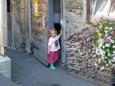 voglbachhof-ab-in-den-stall