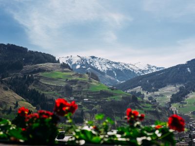 Aussicht vom Ferienhaus [Sommer]